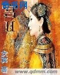 宫锁心玉外传