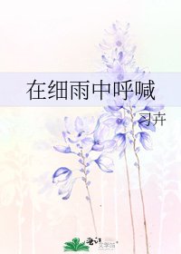 在细雨中呼喊